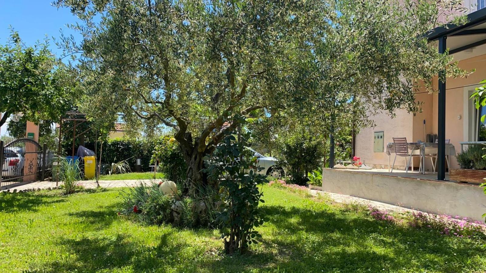 Apartment Gracijana Poreč Buitenkant foto